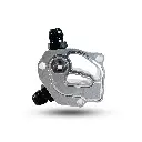 imgi_3_Plate1.webp