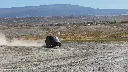 05233fa460cb4dafa16fe7e62a20617b.thumbnail.0000000000.webp
