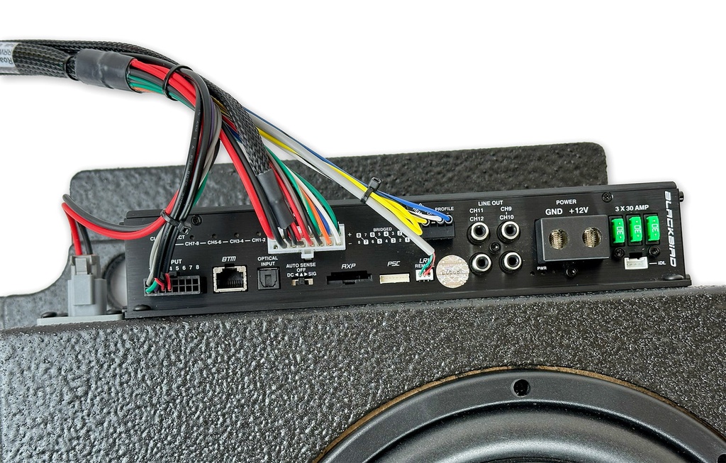 Blackbird DSP Amp (top)