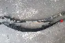 Alcan Spring - Custom-Built Replacement Rear Leaf Springs (Pair)