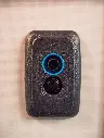 ODB - Macerator + Water Pump (Combo) Replacement Switch | Revel